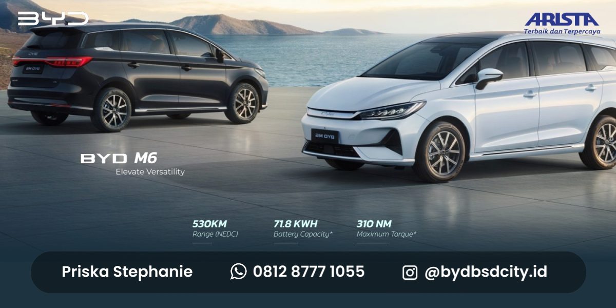 byd m6