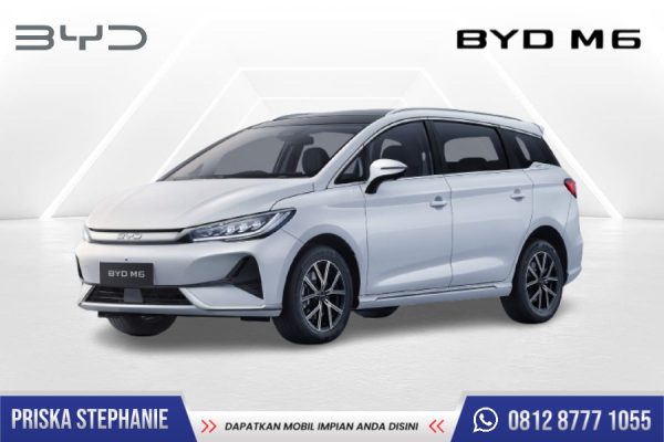 BYD M6